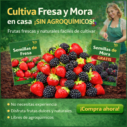🌟 PROMOCIÓN - 🍓 150 Semillas de Fresa y Gana 100 Semillas de Mora GRATIS 🍇