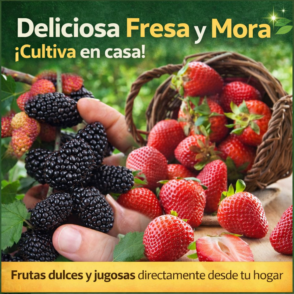 🌟 PROMOCIÓN - 🍓 150 Semillas de Fresa y Gana 100 Semillas de Mora GRATIS 🍇