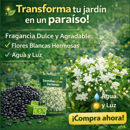 🌿 Semillas de Jazmín Aromático