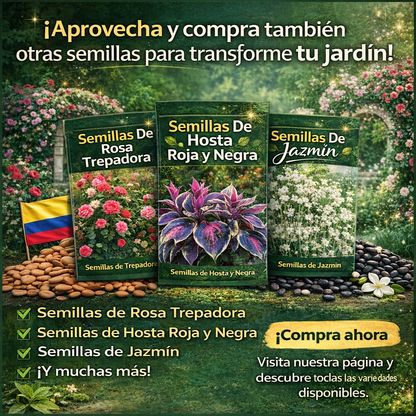 🌸 Semillas Rosa Trepadora 🌸