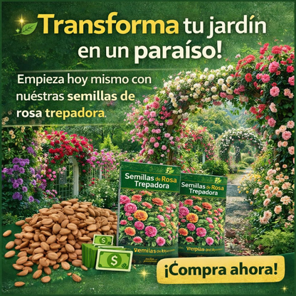 🌸 Semillas Rosa Trepadora 🌸
