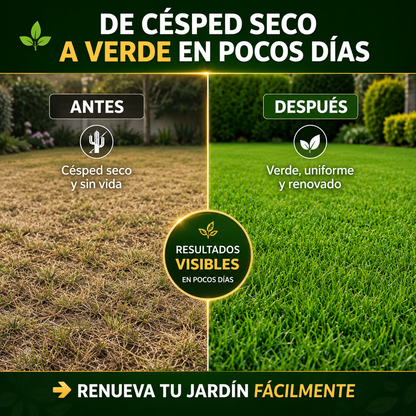 ☘️ Semillas Césped Pemiun ☘️