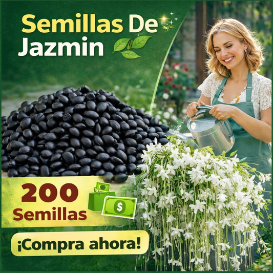 🌿 Semillas de Jazmín Aromático