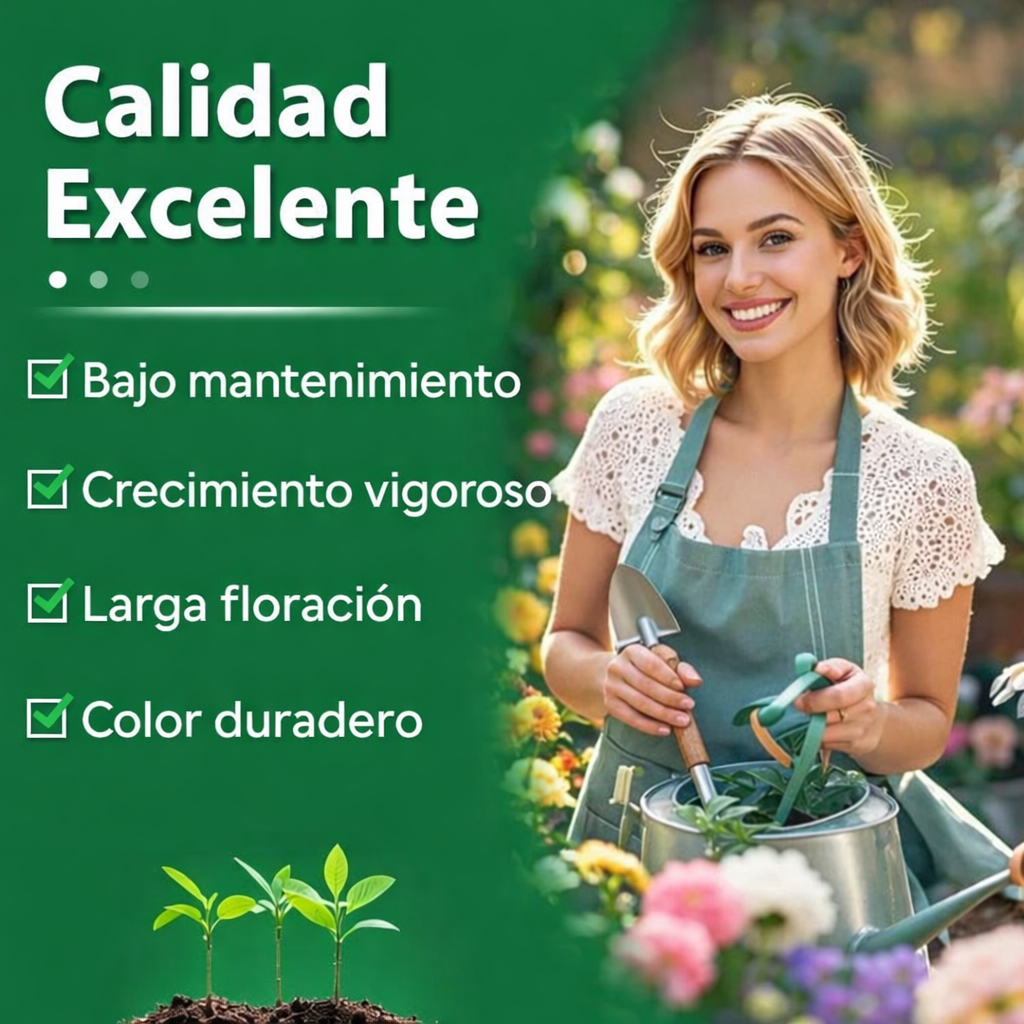 🌸 Semillas de hosta roja y negra 🌸