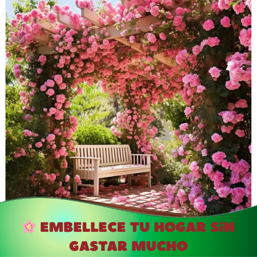 🌸 Semillas Rosa Trepadora 🌸